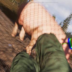 Kokzzok