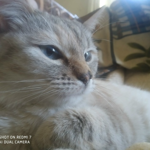 Иван Веретенников