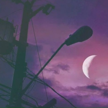 Амир Койшыбаев