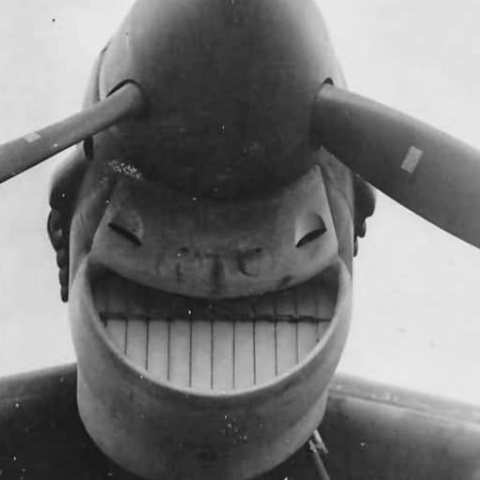 Александр Головлев