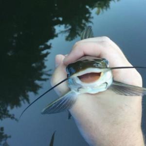 Денис Григорчук