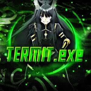 TERMIT.exe